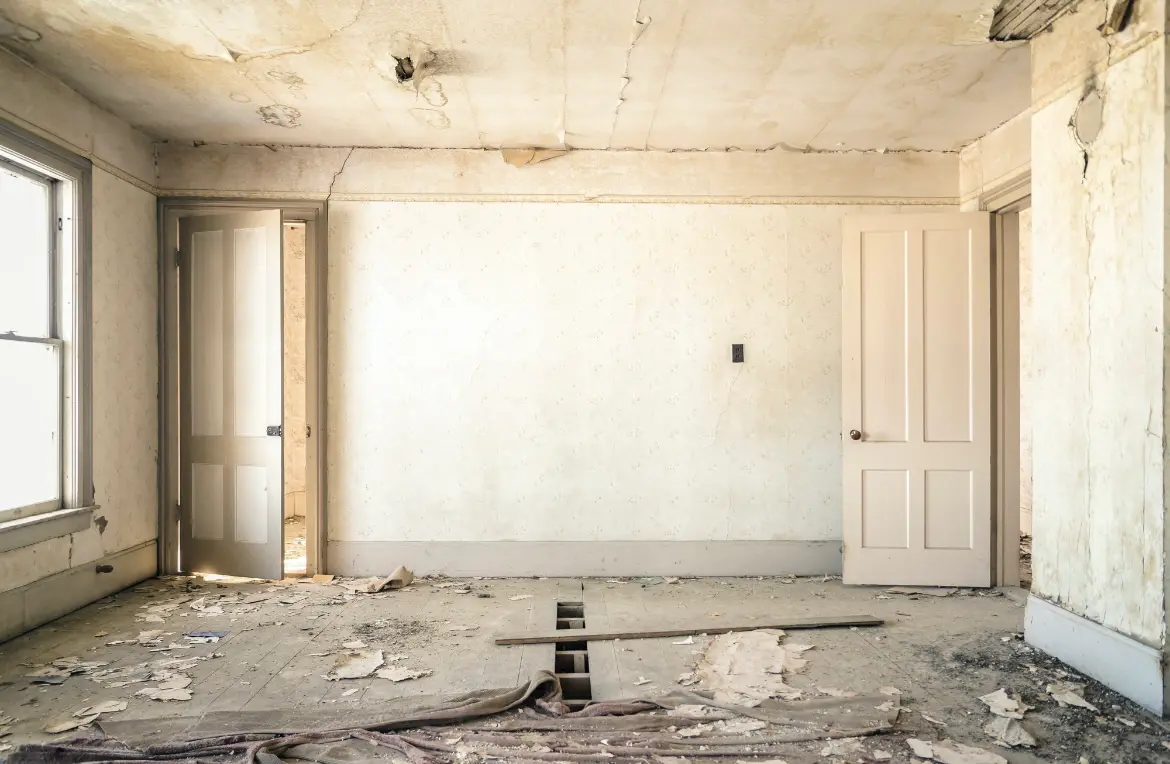 Waste disposal crew managing a cleanout project in Seymour